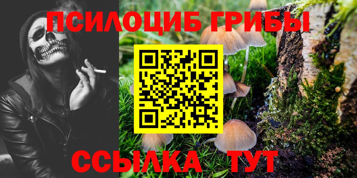 Псилоцибиновые грибы Magic Shrooms Богородск