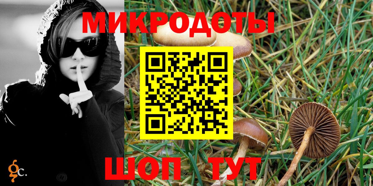 Богородск  Галлюциногенные грибы Psilocybe  Вход с VPN 